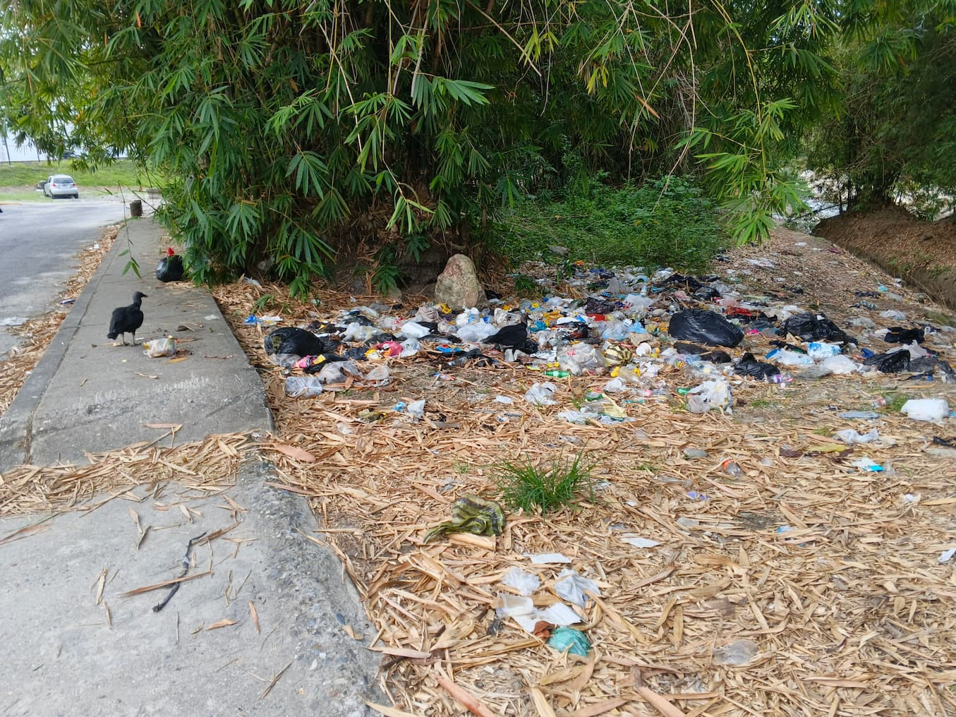 Diario Frontera, Frontera Digital,  El Vigía Panamericana, ,De patrimonio histórico a vertedero: El alarmante declive ambiental a orillas del río Torondoy
