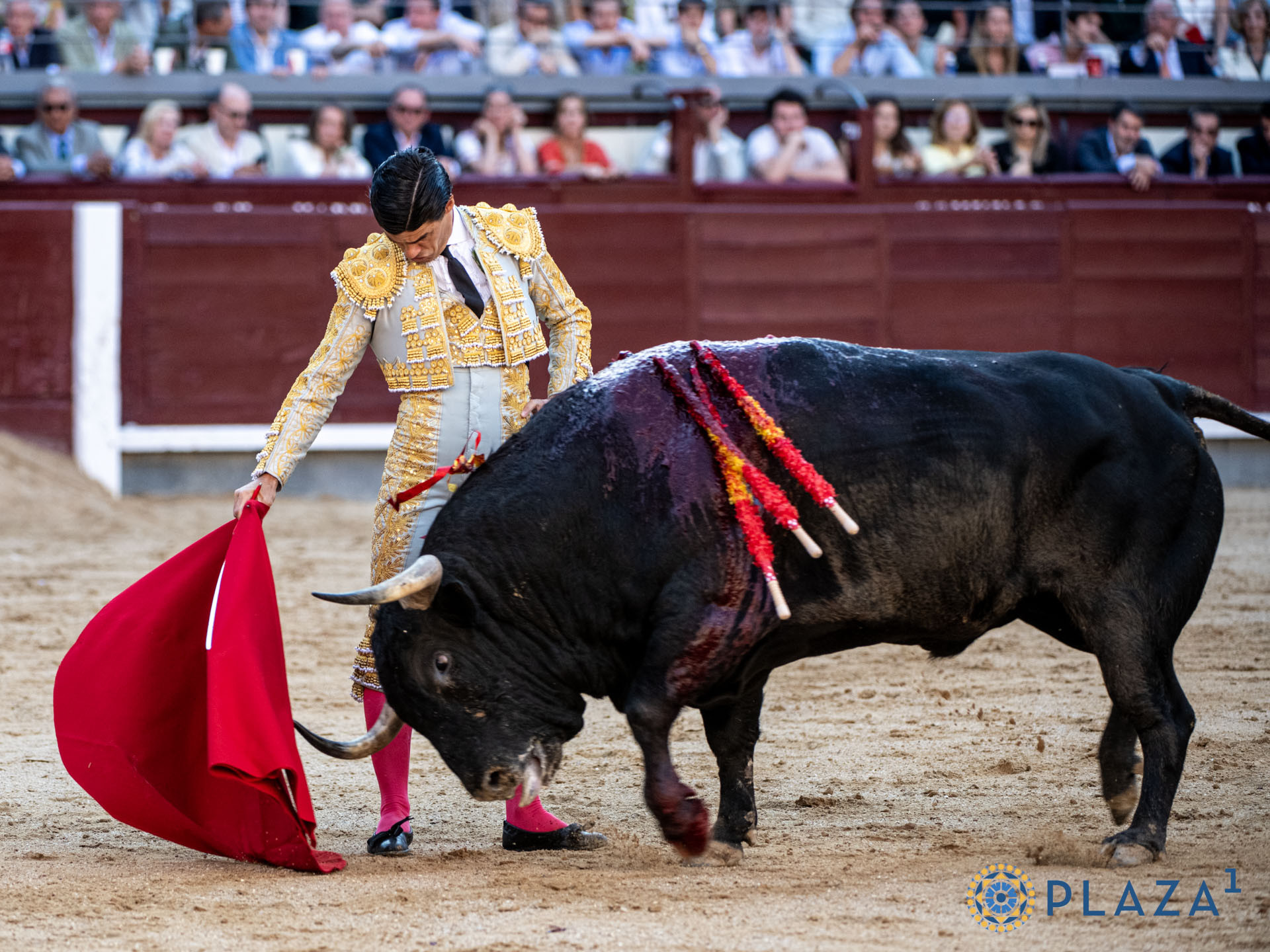 Diario Frontera, Frontera Digital,  Entretenimiento, ,Estalló la bronca cuando se despidieron los toreros, envueltos en una nube de almohadillas,¡Pum-pum!: crónica de un petardo anunciado