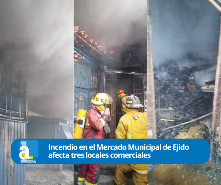 Diario Frontera, Frontera Digital,  Regionales, ,Tres locales del mercado de Ejido se quemaron,Incendio en el Mercado Municipal de Ejido afecta tres locales comerciales