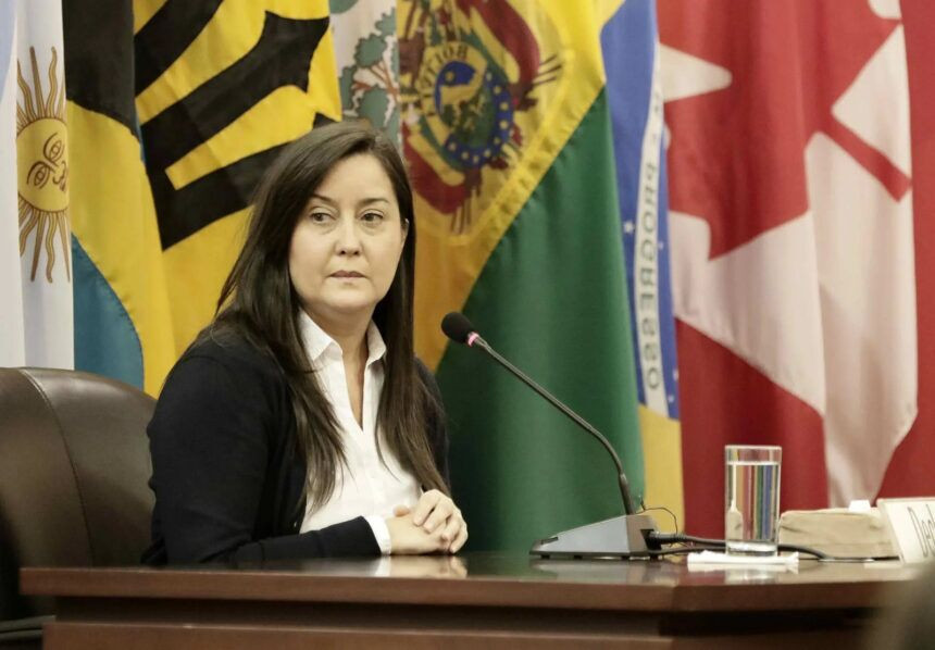 Diario Frontera, Frontera Digital,  Politica, ,Rocío San Miguel regresó a Venezuela y solicita el cierre de la causa en su contra