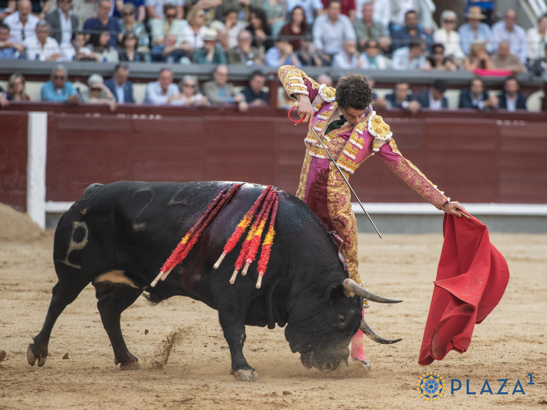 Diario Frontera, Frontera Digital,  Entretenimiento, ,A las ocho menos veinte Madrid vivía una colosal competencia en quites,Ay, si El Juli pilla la corrida de Alcurrucén...