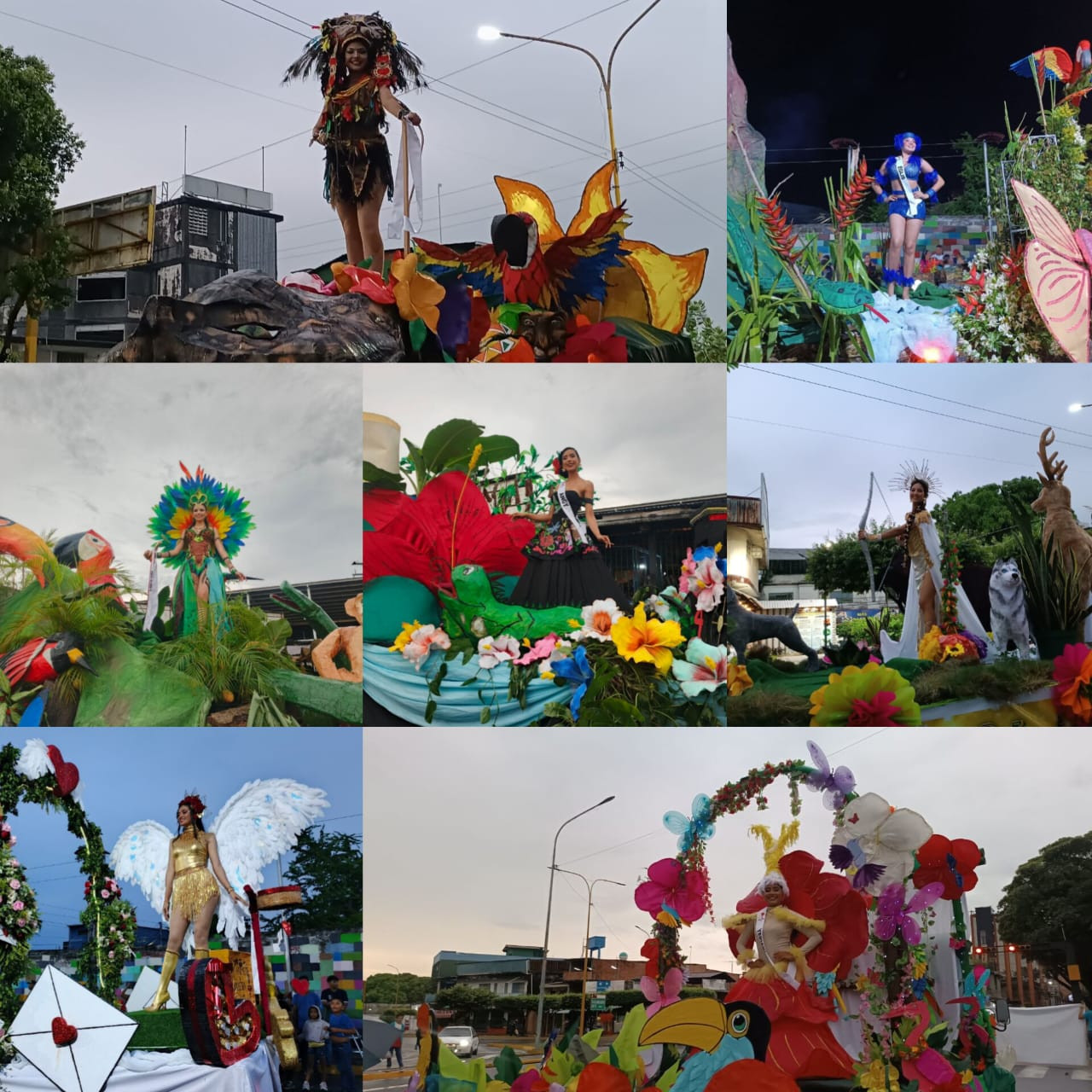 Diario Frontera, Frontera Digital,  El Vigía Panamericana, ,La actividad que inició en el mercado campesino Olinto Vera, recorrió las avenidas 15 y Bolívar de la ciudad hasta llegar al enlace vial Omaira Candel,Gran Desfile Ferial El Vigía 2026 demostró el talento local