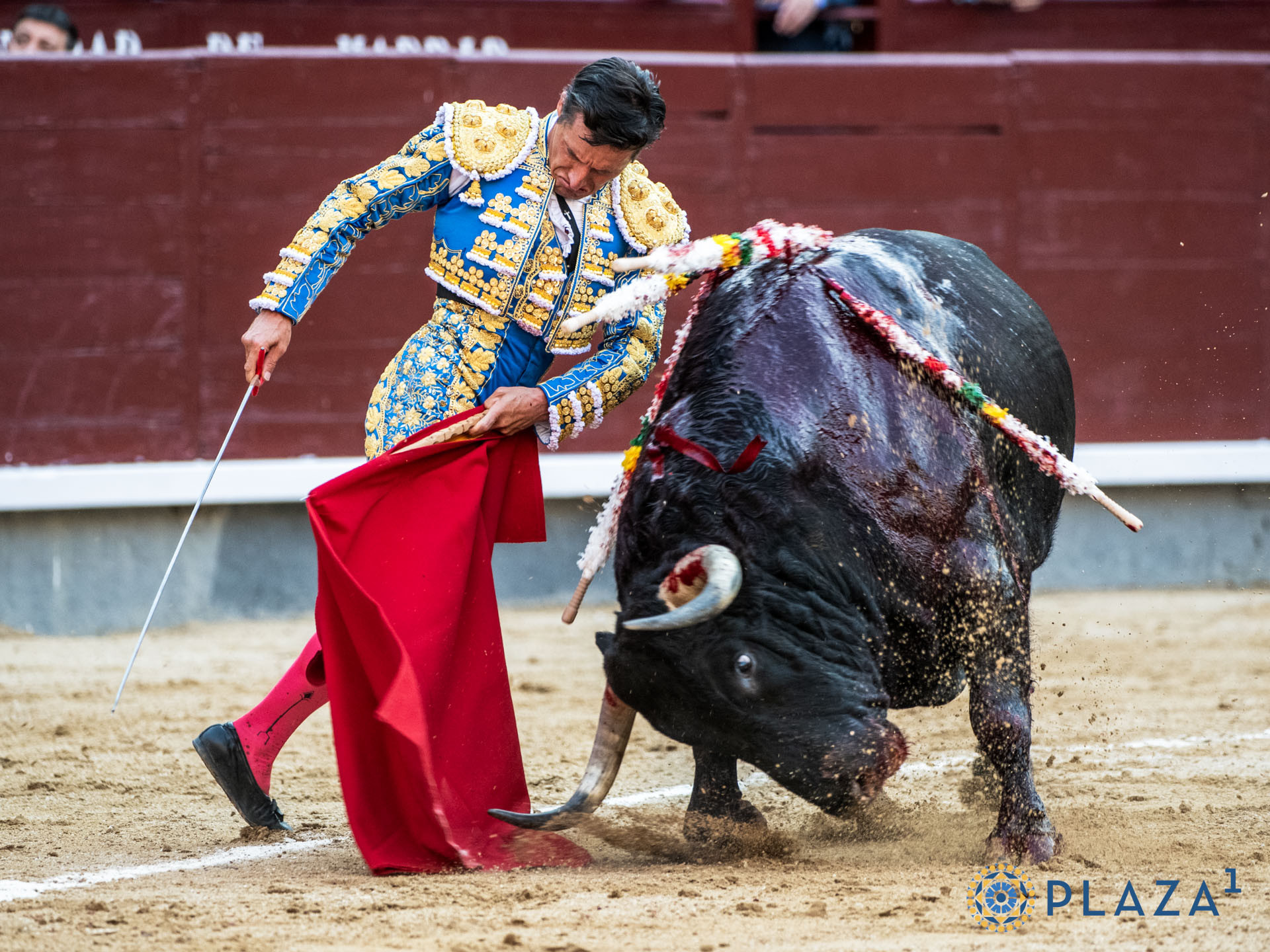 Diario Frontera, Frontera Digital,  Entretenimiento, ,Diego Urdiales destapa las esencias de la torería y la Puerta Grande