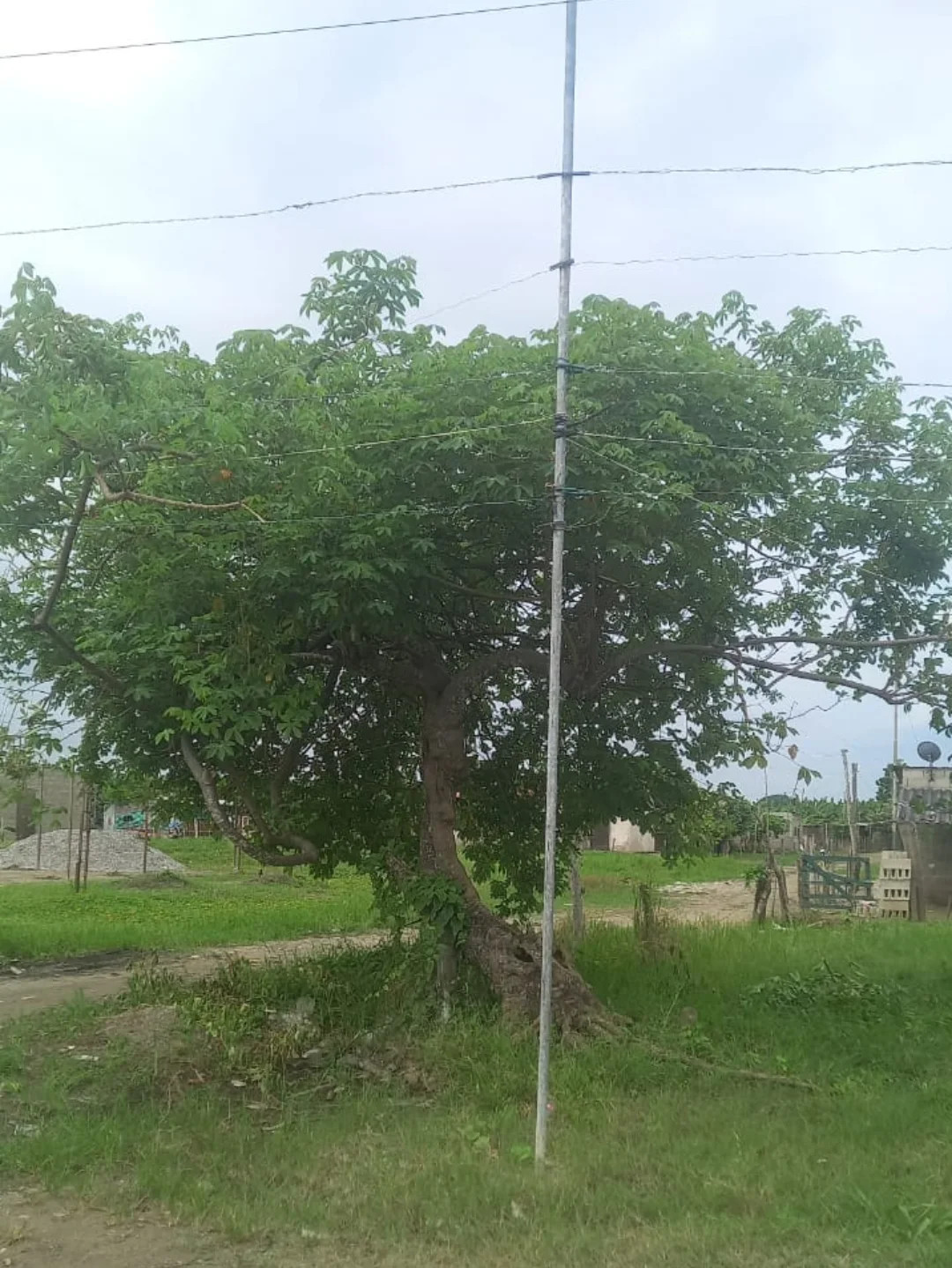 Diario Frontera, Frontera Digital,  Sucesos, ,Niño de 8 años murió por una descarga eléctrica en El Chivo
