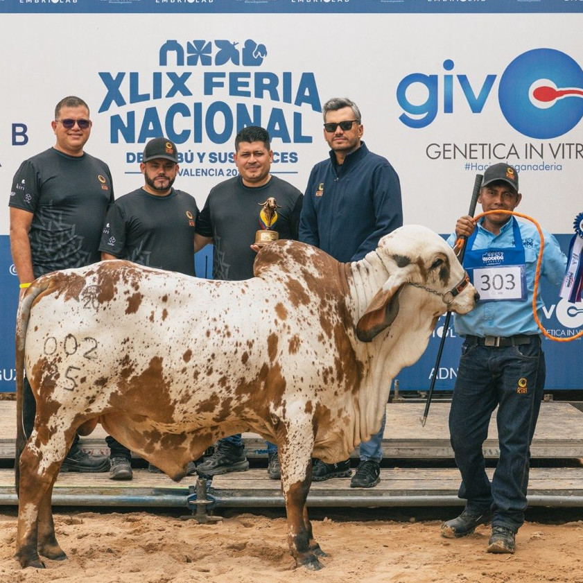 Diario Frontera, Frontera Digital,  Nacionales, ,Alimentos Kiri rompe récord nacional en producción de leche en la XLIX Feria
Nacional del Cebú y establece nuevo estándar de excelencia