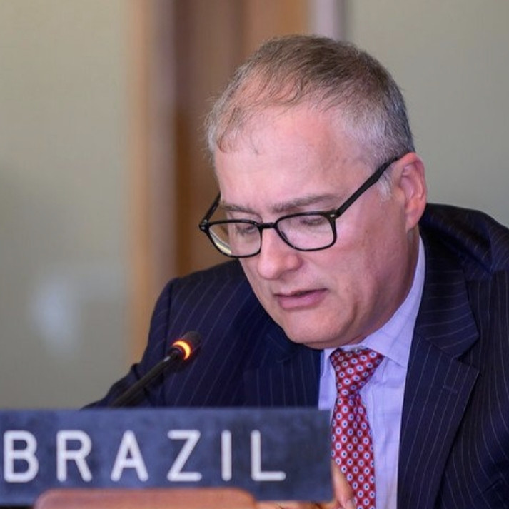 Diario Frontera, Frontera Digital,  Internacionales, ,Embajador de Brasil ante la OEA pide a Venezuela que sean responsabilizados los perpetradores de violaciones de DD HH