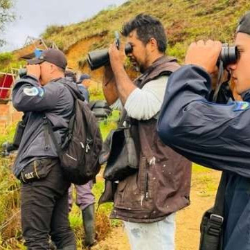 Diario Frontera, Frontera Digital,  Nacionales, ,Venezuela registró 889 especies de aves en el Global Big Day 2025