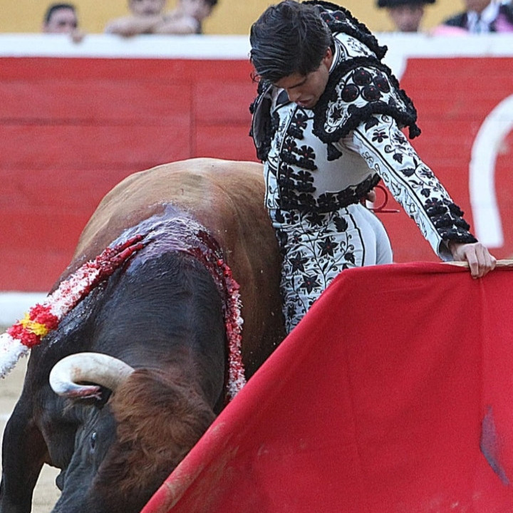 Diario Frontera, Frontera Digital,  Entretenimiento, ,Valera se convertirá junto con Táriba en centro de peregrinación taurina