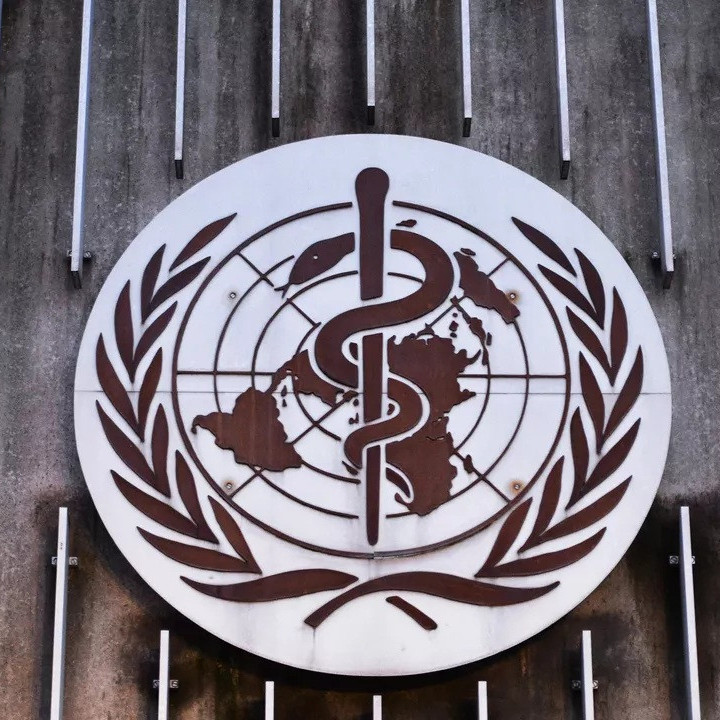 Diario Frontera, Frontera Digital,  Internacionales, Salud, ,OMS no cree que el brote de hantavirus se convierta en pandemia