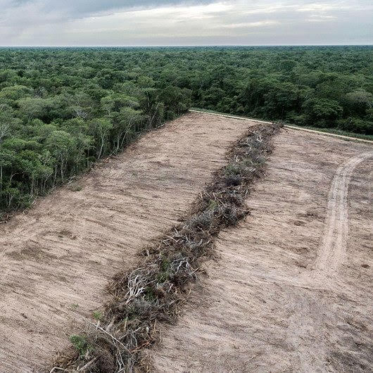 Diario Frontera, Frontera Digital,  Internacionales, ,Sudamérica registra la mayor pérdida de bosques del planeta