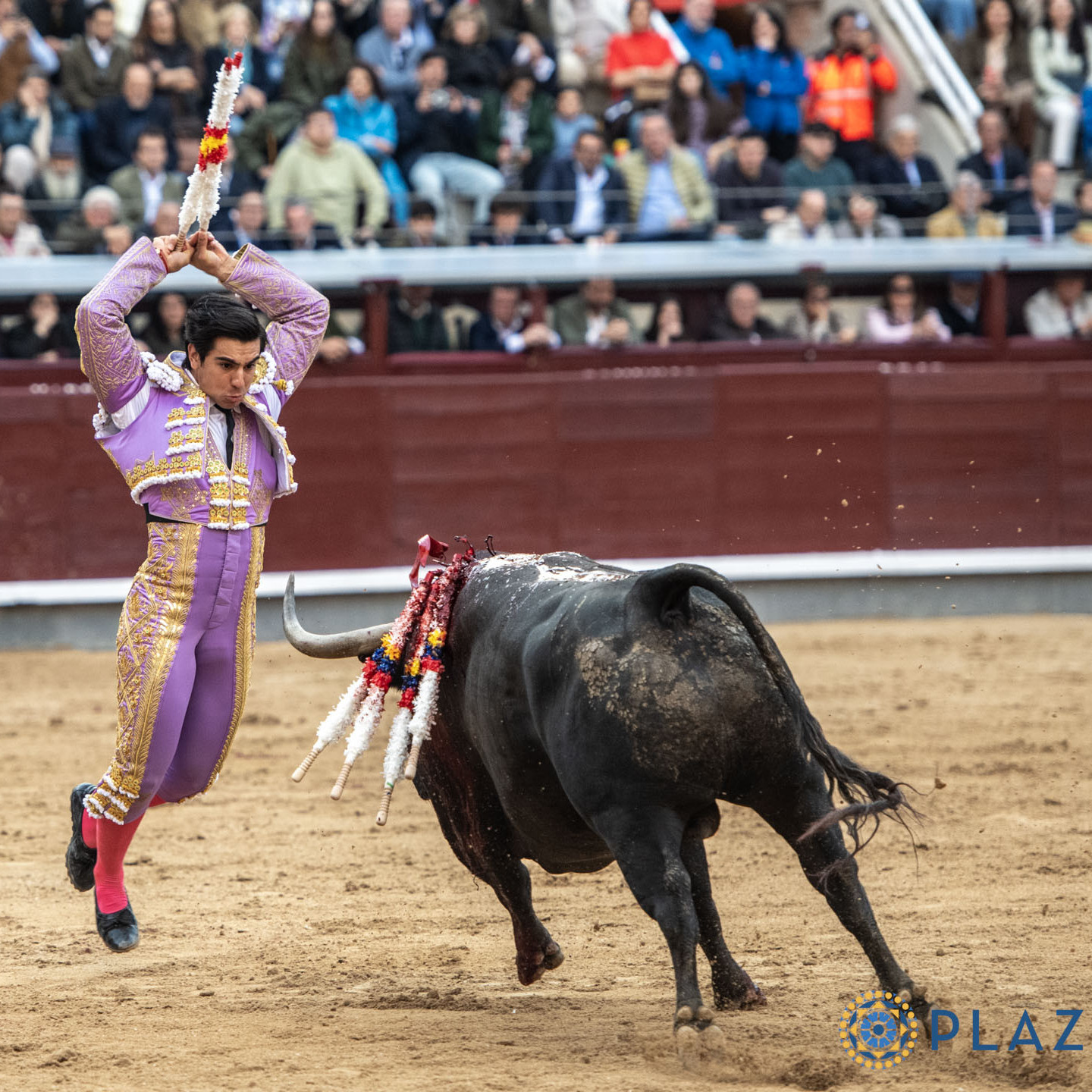 Diario Frontera, Frontera Digital,  Entretenimiento, ,De Pablo Romero no queda ni la belleza: una insufrible moruchada dinamita el espectáculo en Las Ventas