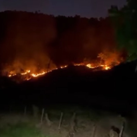 Diario Frontera, Frontera Digital,  Sucesos, Mocoties, ,Se produce incendio en el sector El Peñón en la vía a Tovar