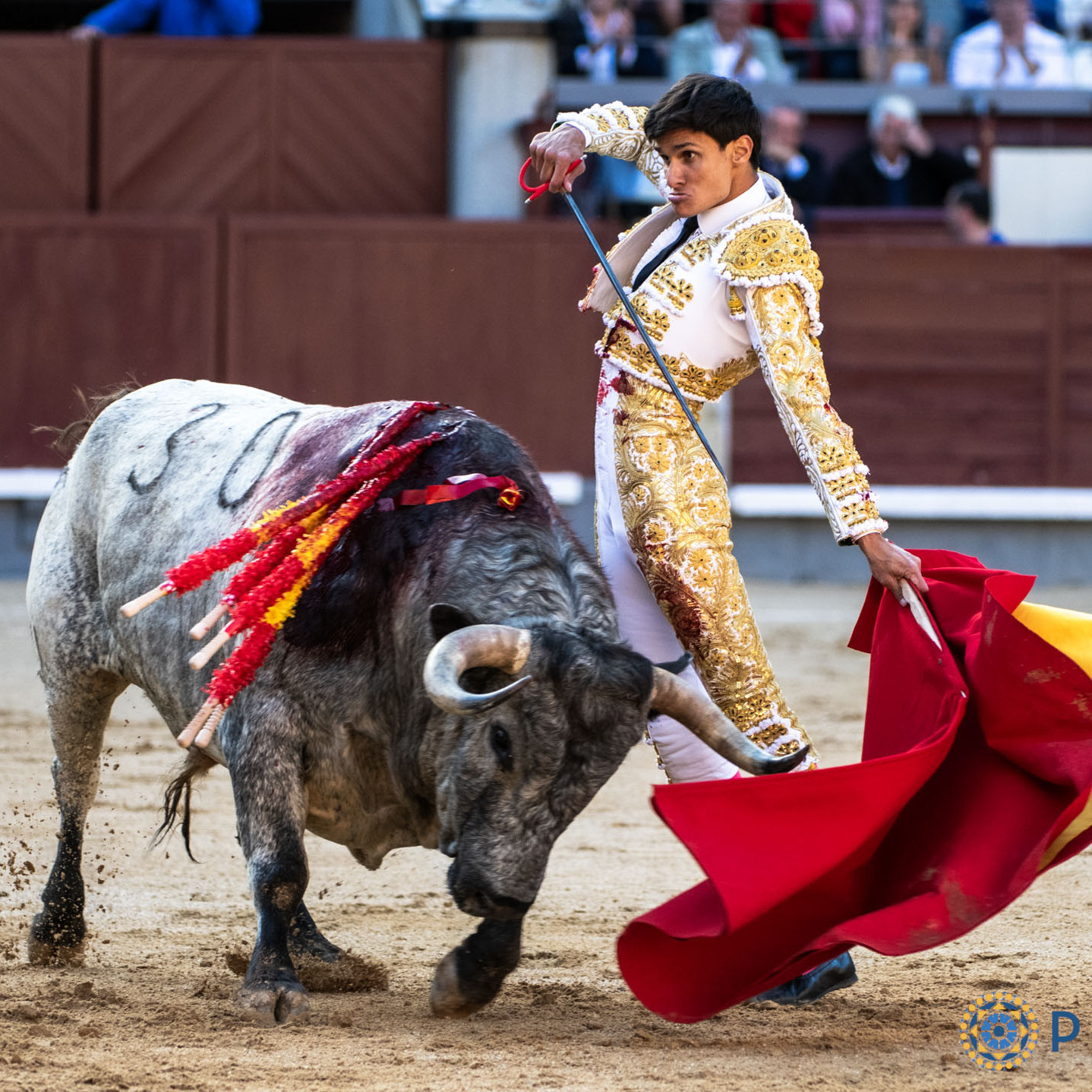 Diario Frontera, Frontera Digital,  Entretenimiento, ,Manuel Diosleguarde, aun sin trofeos, confirma en Madrid su alternativa, y su proyección