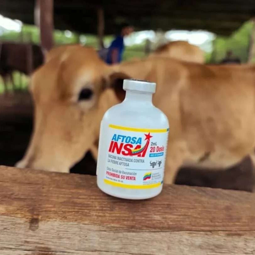 Diario Frontera, Frontera Digital,  Nacionales, ,Venezuela inicia primer ciclo de vacunación contra la fiebre aftosa