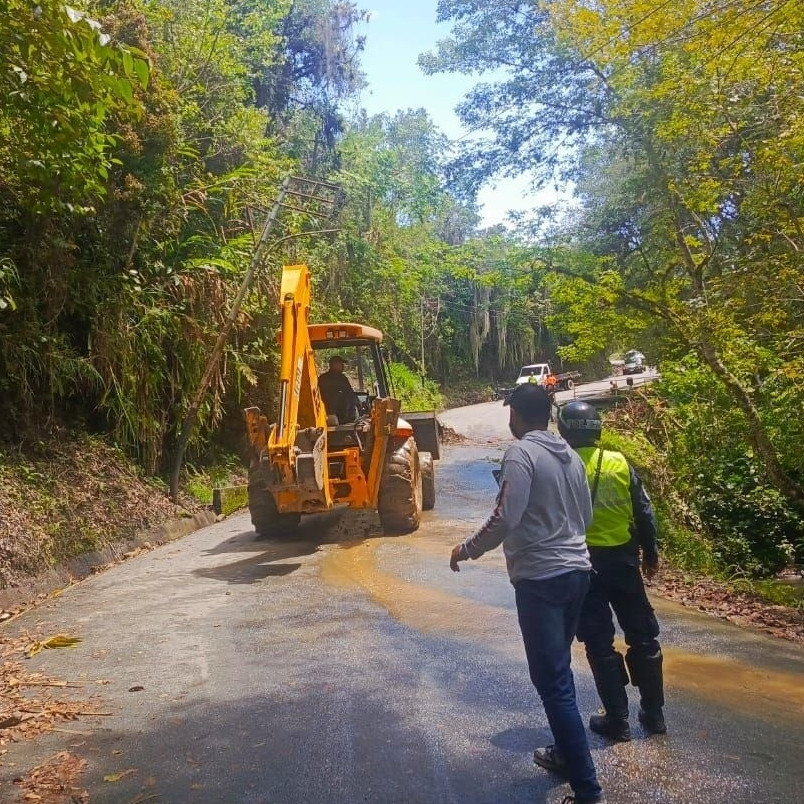 Diario Frontera, Frontera Digital,  Regionales, ,Alcaldía de Libertador despeja la vialidad en El Vallecito tras intensas lluvias