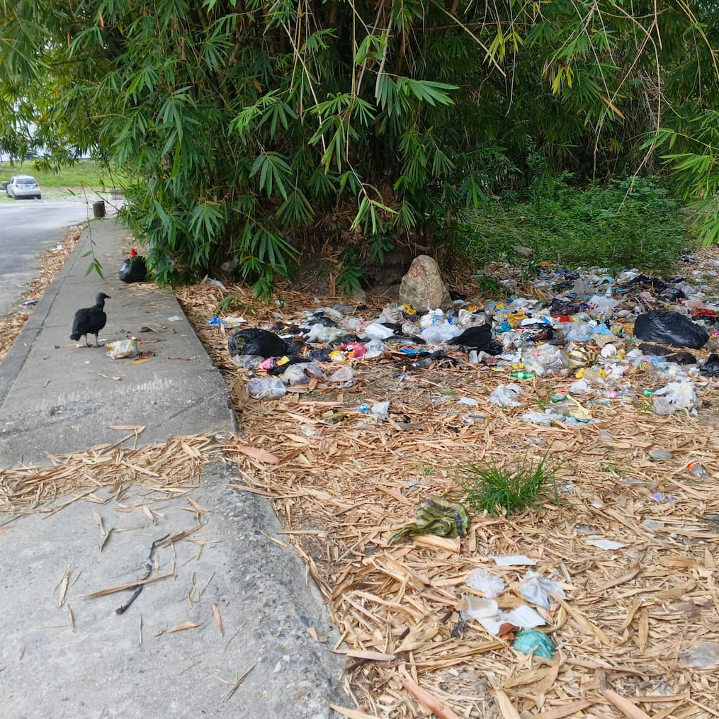 Diario Frontera, Frontera Digital,  El Vigía Panamericana, ,De patrimonio histórico a vertedero: El alarmante declive ambiental a orillas del río Torondoy