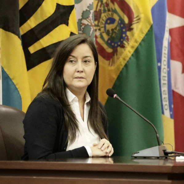 Diario Frontera, Frontera Digital,  Politica, ,Rocío San Miguel regresó a Venezuela y solicita el cierre de la causa en su contra