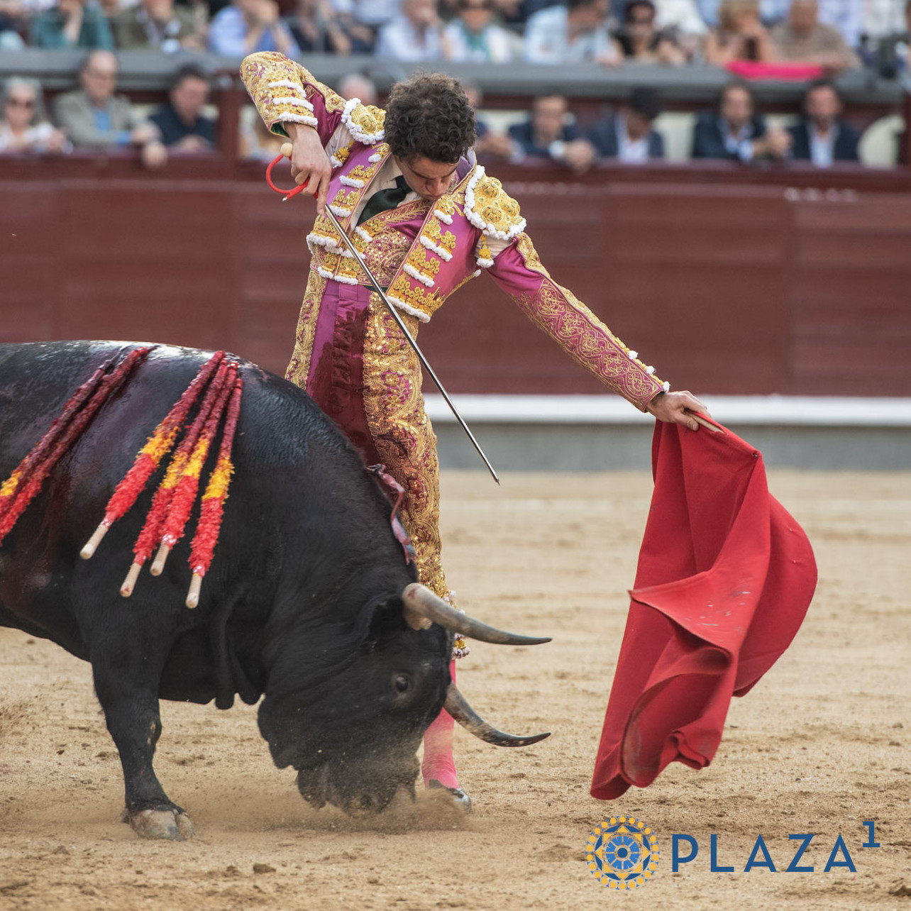 Diario Frontera, Frontera Digital,  Entretenimiento, ,Ay, si El Juli pilla la corrida de Alcurrucén...