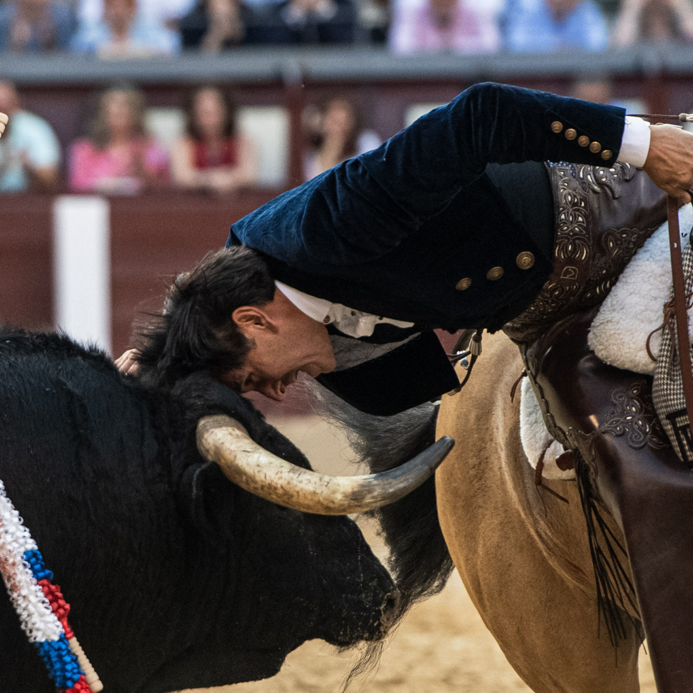 Diario Frontera, Frontera Digital,  Entretenimiento, ,Diego Ventura agiganta su leyenda y hace historia con su vigésima Puerta Grande