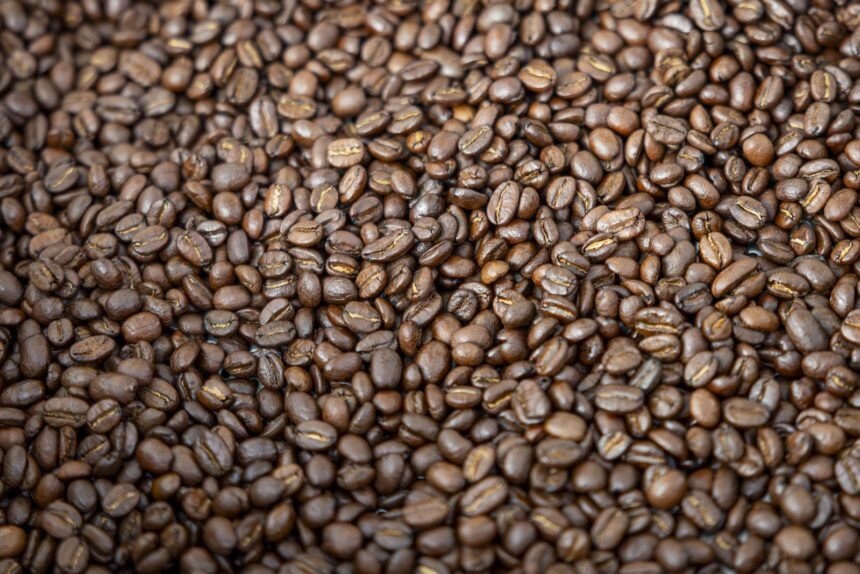 Diario Frontera, Frontera Digital,  Nacionales, ,AN aprobó ley para impulsar la producción y exportación de café venezolano: ¿qué contempla la norma?