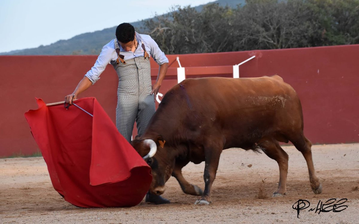 Diario Frontera, Frontera Digital,  Entretenimiento, ,José David Cadavid estaría este domingo actuando en destacado festival sin picadores, en la localidad salmantina de Sancti-Spiritus, cerca de Ciudad Rodrigo,Este domingo en festival sin picadores actúa el matador José David Cadavid