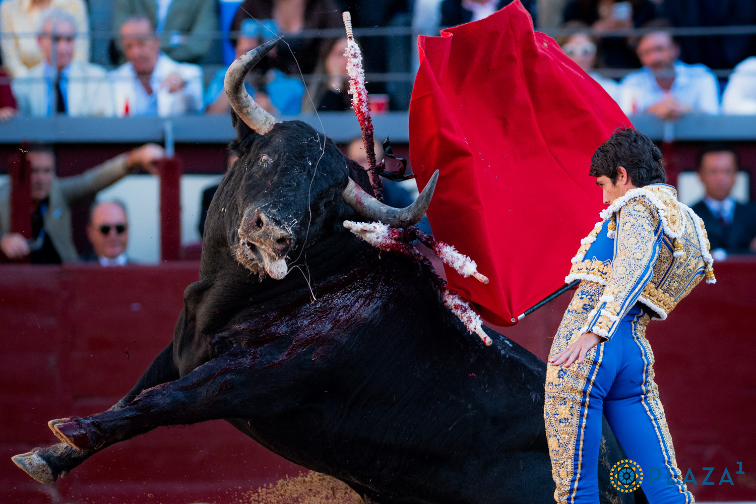 Diario Frontera, Frontera Digital,  Entretenimiento, ,Diseñada de antemano con un buen número de carteles mediocres, la feria de 2026, casi como era previsible, ha dejado mucho que desear en el apartado artístico, más allá de las dieciséis orejas cortadas por los matadores de toros, las siete de los novilleros y las cinco de los rejoneadores,Otro nuevo récord de asistencia con gran numero de toros 
que se fueron al destazadero con las orejas colgando