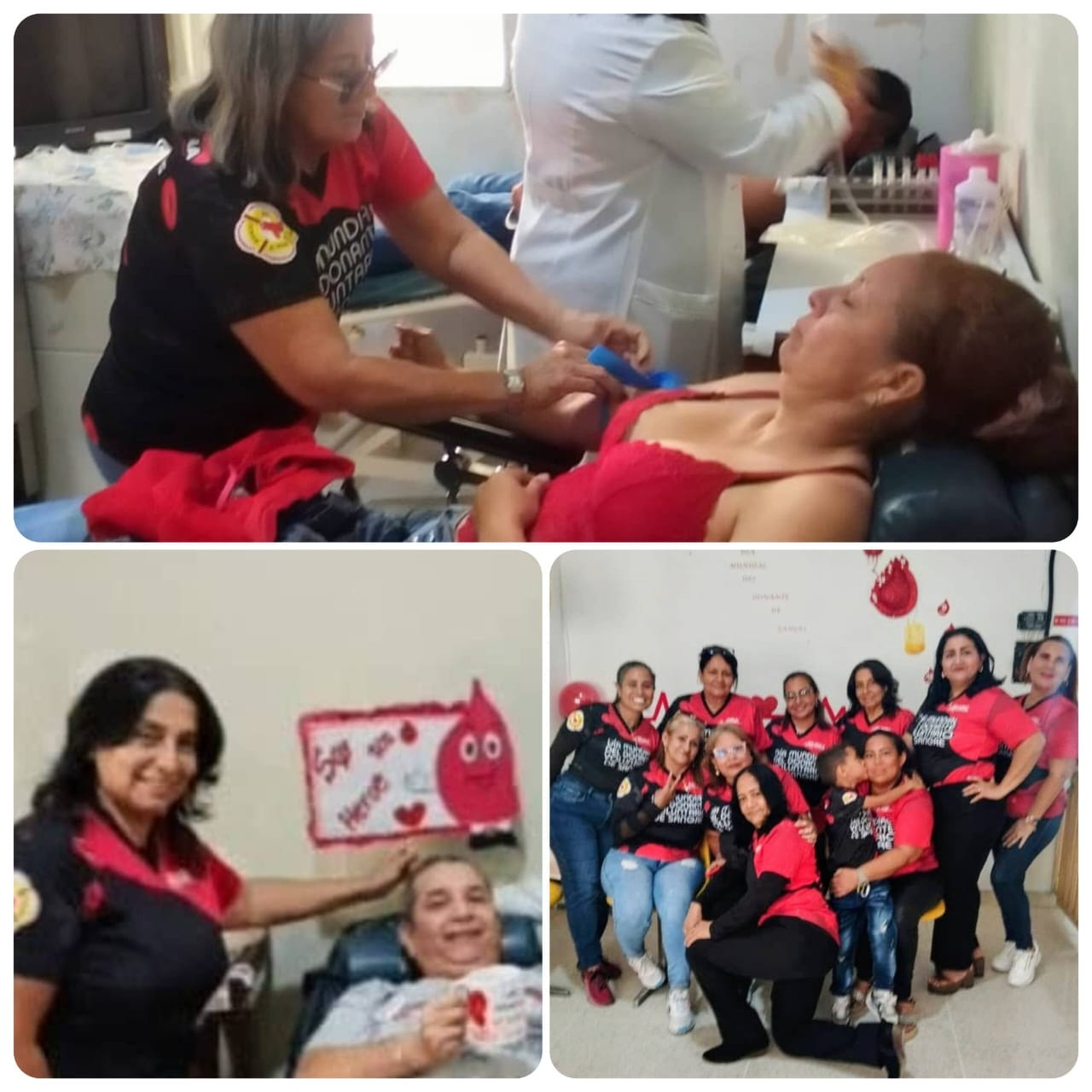 Diario Frontera, Frontera Digital,  El Vigía Panamericana, ,Leída Peña, coordinadora del Banco de Sangre, destacó que “un héroe lleva sangre en las venas, mientras que un donante la comparte”,Banco de Sangre celebrará el Día Mundial 
del Donante Voluntario en el Hospital II de El Vigía