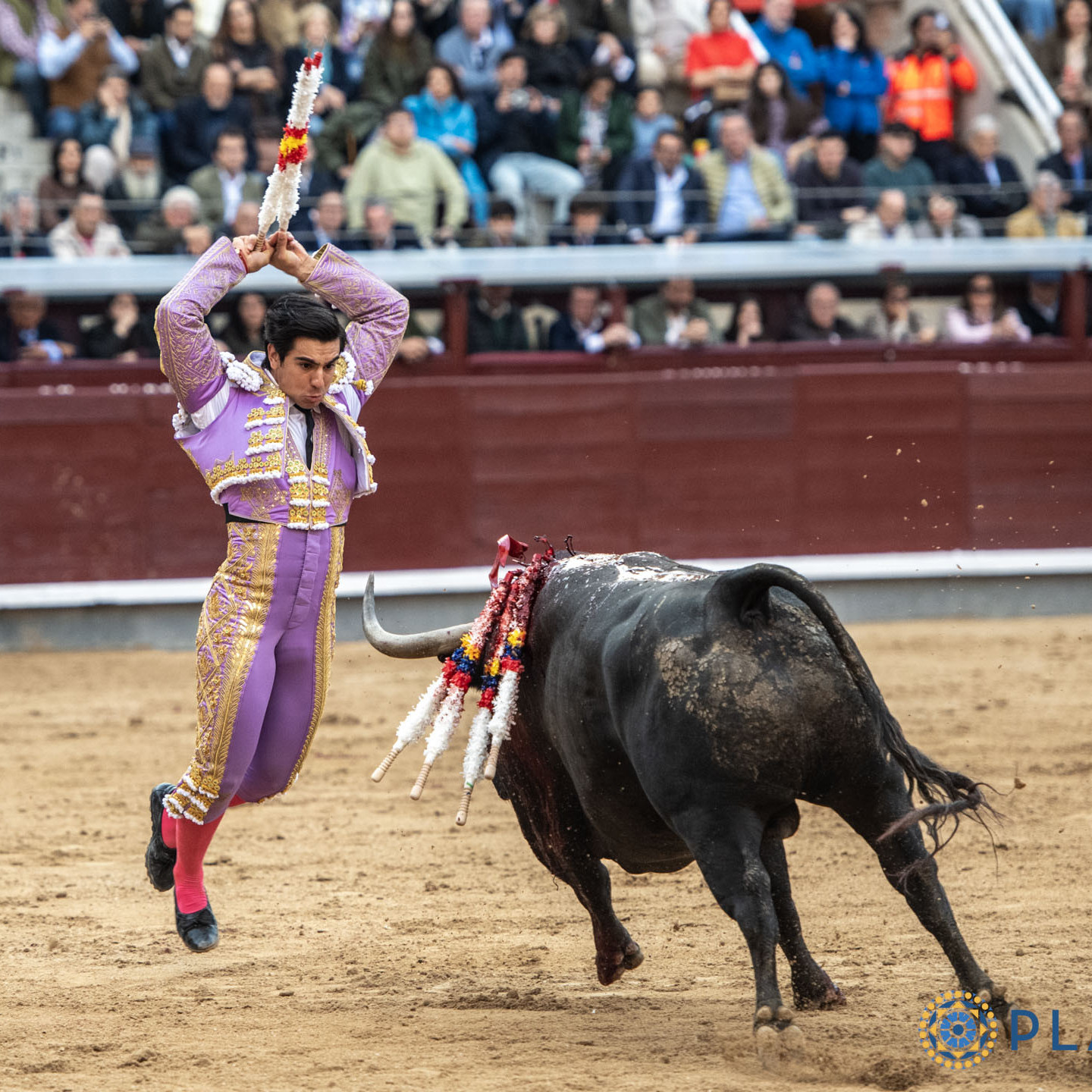 Diario Frontera, Frontera Digital,  Entretenimiento, ,Primera alternativa de “Colombo” al lado de la revelación de la pasada Feria de San Isidro