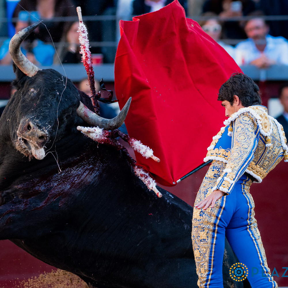 Diario Frontera, Frontera Digital,  Entretenimiento, ,Otro nuevo récord de asistencia con gran numero de toros 
que se fueron al destazadero con las orejas colgando