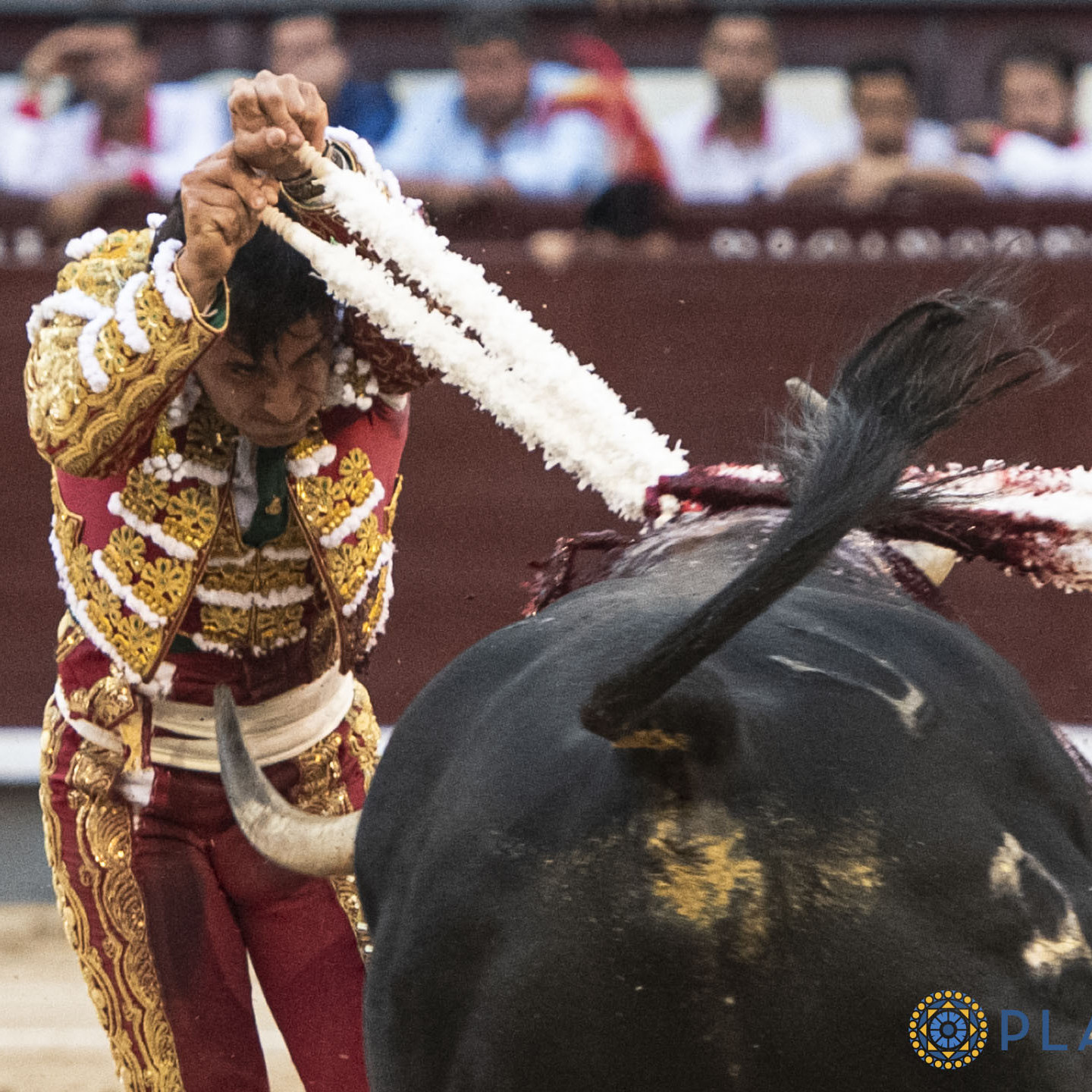 Diario Frontera, Frontera Digital,  Entretenimiento, ,Una tarde muy rica en Las Ventas, tres toros de nota y un torero necesario: Ismael Martín