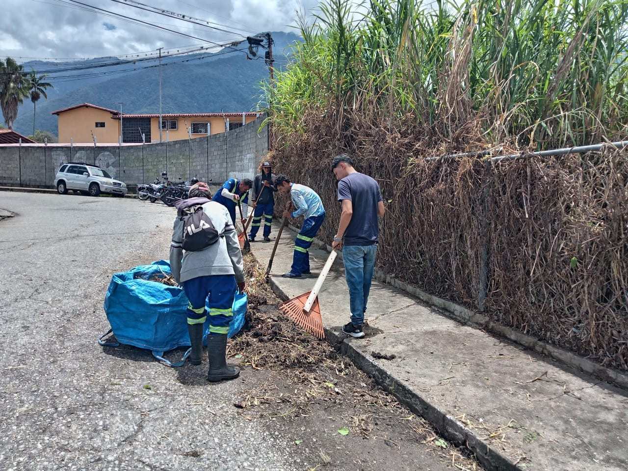 Diario Frontera, Frontera Digital,  Regionales, ,Alcaldía de Mérida ejecutó limpieza y desmalezamiento en Santa Juana