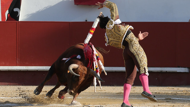 https://fronteradigital.com.ve/test.fronteradigital.com.ve/Semana triunfal de “Colombo” que se corona en Querocotillo